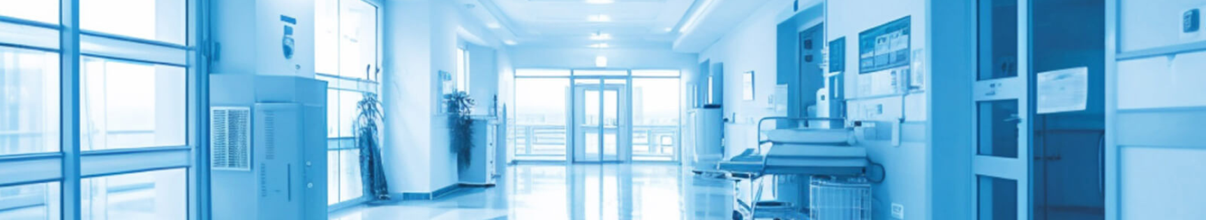 banner img